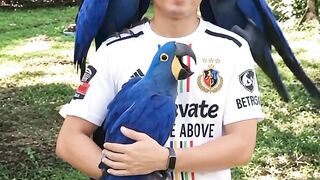 Judul: 🦜 A Magical Day Surrounded by Beautiful Birds