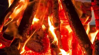 Nobody Was There, Just Me, This Fire, and The Most Beautiful Sunset Over The Lake