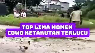 top five funny moments