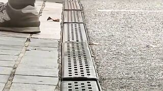 Kucing ini tinggal dibawah lorong halte bus yang sempit 🥺❤️ (720p).mp4