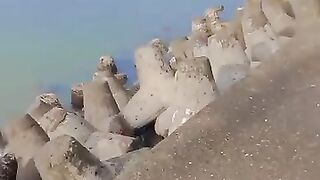 Beach 36