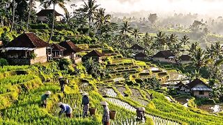 “Seperti Negeri Dongeng… Desa Hijau di Kaki Gunung Ini Bikin Hati Adem 🏡⛰️🌿”