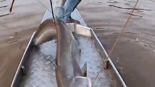 fishing 19