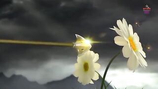 DRAGON NEST _ WARRIOR DAWN | FULL MOVIE IN HINDI DUBBED