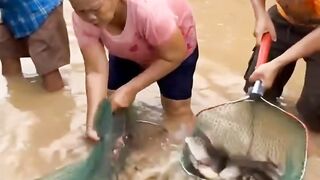 Ibu ibu dan bapak panen ikan di jalan