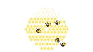 How to make money on honeygain easily