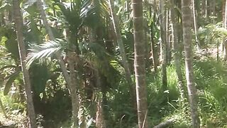 KONDISI KEBUN PINANG 😣