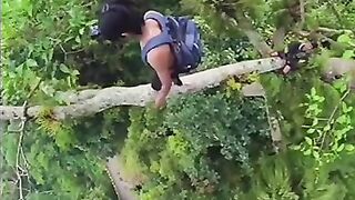 foraging for honey in the forest