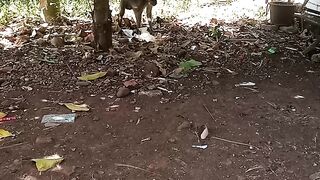 ada ada ajah.