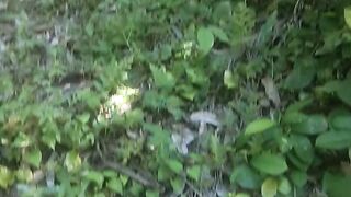 HASIL HARI INI BUAH DURIAN