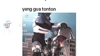Funny videos