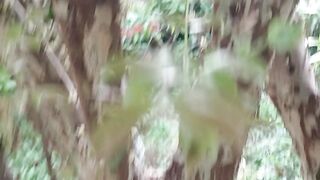 Yg tau buah apah ini.