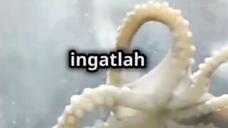 Bagauimana kalau manudia punya 3 jantung