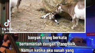 Bertemanlah dengan orang jahat