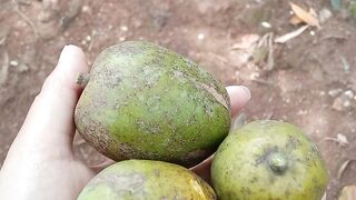 Buahasem
