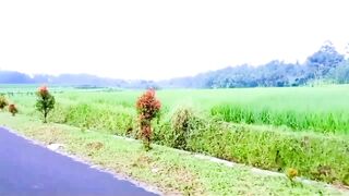 Scenic Country Road