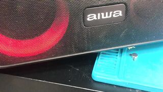 AIWA Speaker Restoration: Successful Repair with Original SealinG