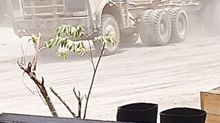 Logging kayu