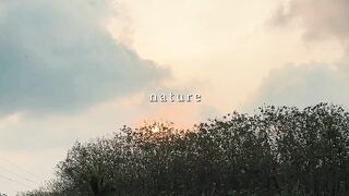 Strolling Through the Teak Forest | Blooming Nature Vlog