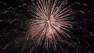 Firework 13