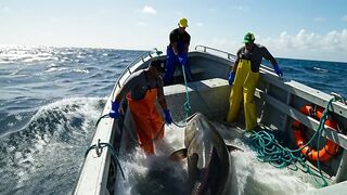Pescadores em alto mar