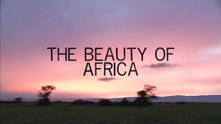 The Beauty of Africa | Landscapes and Wildlife