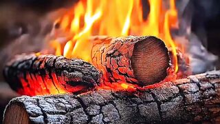 Real Campfire Crackling Sound | 4K Cozy Fireplace ASMR for Sleep, Study & Relaxation