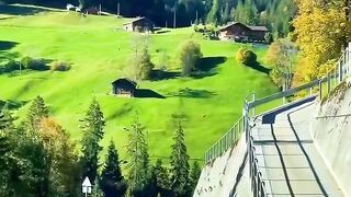 Scenic Panorama