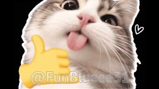Jangan Skip! Kucing Ini Punya Tingkah yang Bikin Gemas! 2