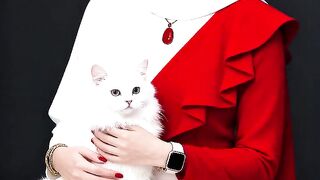 Meluk kucing