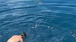 Hero Dives Into The Sea To Free A Turtle