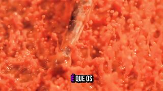 A Hipótese da Mistura a Quente dos Romanos