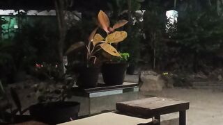 Tidak bisa tidur
