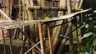 ECO Villa Bamboo