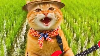 oyen nih boss