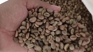 Coffee 24