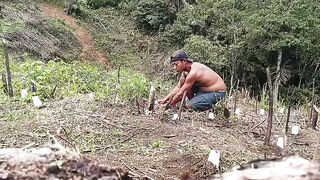 Learn gardening