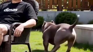 You’ve NEVER seen a cat do this before! 😳🐱