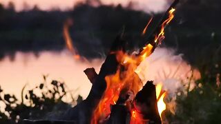 This 1 Minute Will Make You Forget All Your Problems