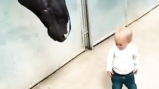 Cute baby 🥰 kindness with animals 💗