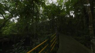 WOR DANCING IN JAPANESE GOA BINSARI | Relics of World War II on Biak Island, Papua