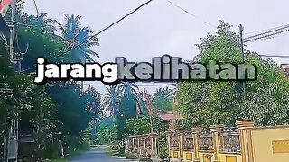 Video ini menjelaskan bahwa orang licik tampak ramah