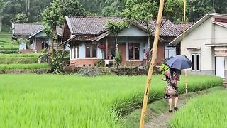 Village house with waterfull view