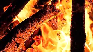 POV: You're Sitting Alone In Front of The Fire at Night - So Relaxing 🔥