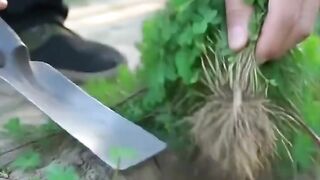 DON’T SKIP THIS VIDEO IF YOU DON’T WANT TO REGRET IT FOR THE REST OF YOUR LIFE. 7