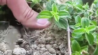 DON’T SKIP THIS VIDEO IF YOU DON’T WANT TO REGRET IT FOR THE REST OF YOUR LIFE. 10