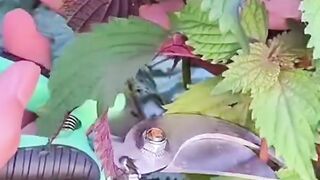 DON’T SKIP THIS VIDEO IF YOU DON’T WANT TO REGRET IT FOR THE REST OF YOUR LIFE. 12
