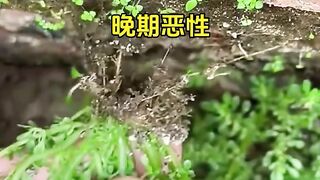 DON’T SKIP THIS VIDEO IF YOU DON’T WANT TO REGRET IT FOR THE REST OF YOUR LIFE. 15