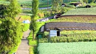 Pemandangan alam di kabupaten Magelang