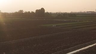 Sunset 109